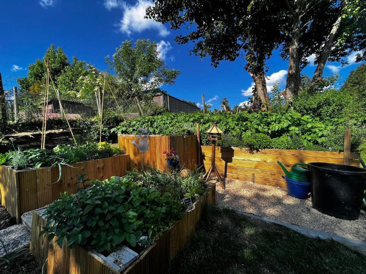 Le Clos Fleuri Fauvillers Εξωτερικό φωτογραφία