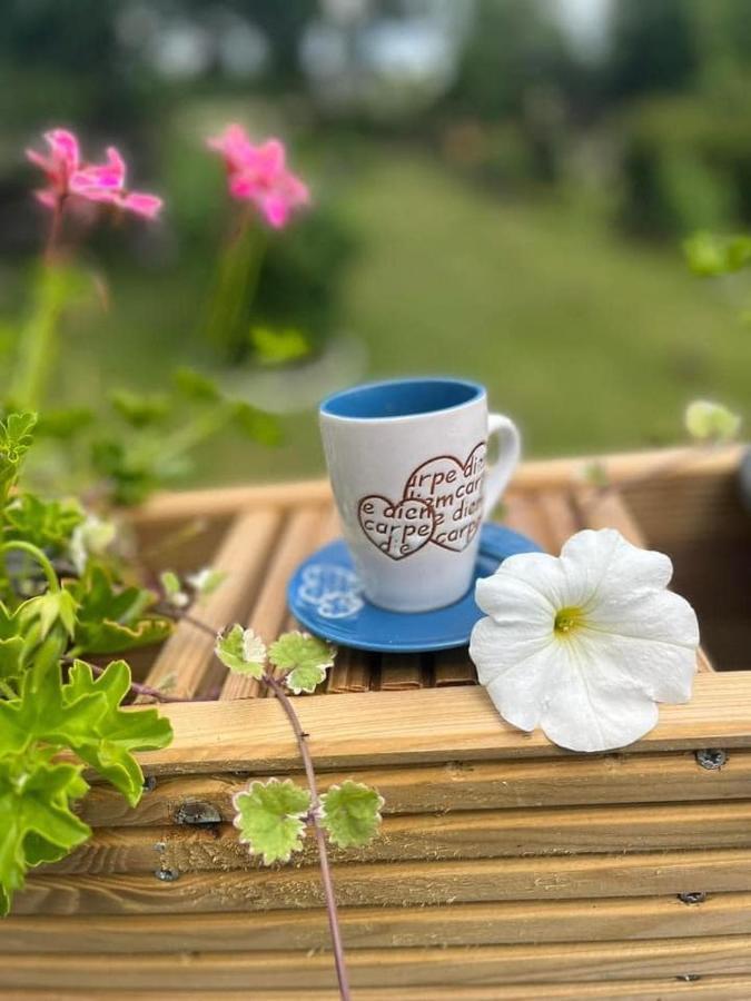 Le Clos Fleuri Fauvillers Εξωτερικό φωτογραφία
